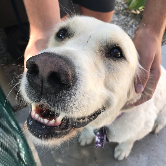 Meet your Posher, Julia - Picture 1 of 1